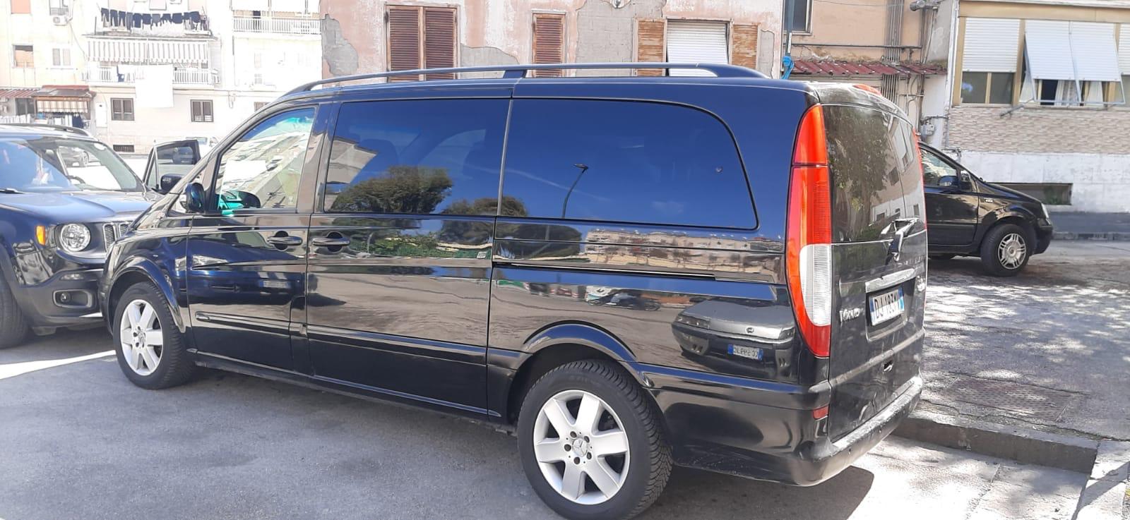 viano-manuale